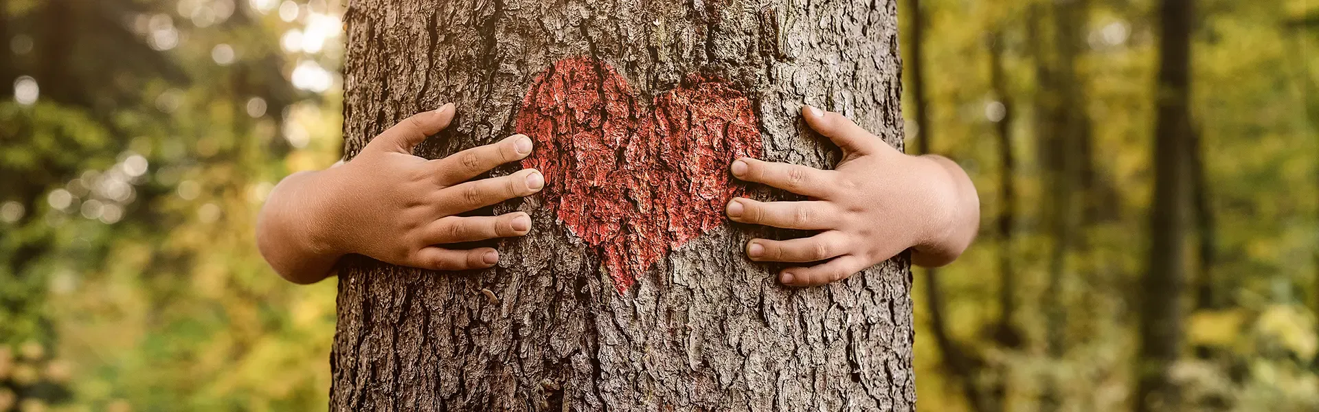 Hände umarmen Baum mit Herzsymbol